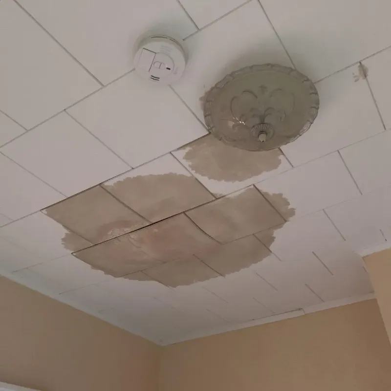 Ceiling Water Damage Repair in Houlton, ME