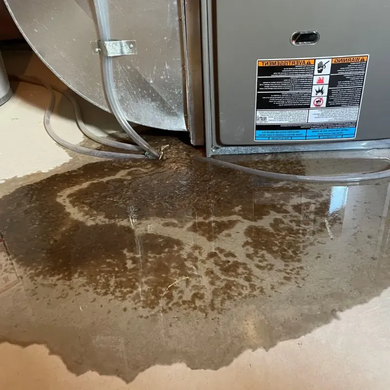 Pipe Burst and Leak Restoration in Houlton, ME