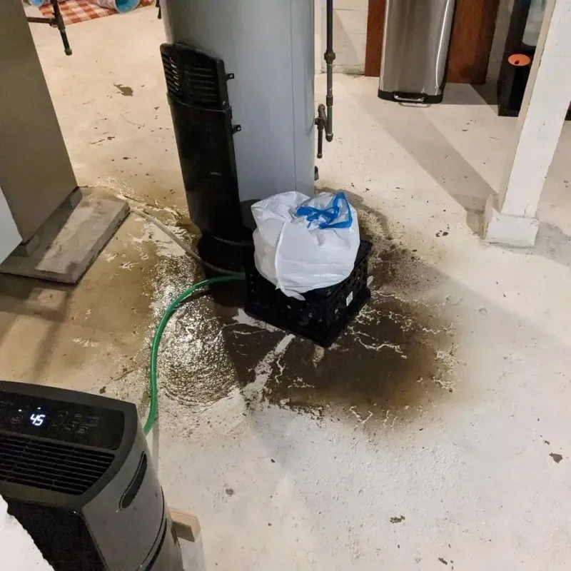 Sewage Backup Cleanup Service in Houlton, ME